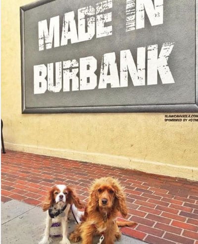 @charlie_dog_in_la Made in Burbank Mural