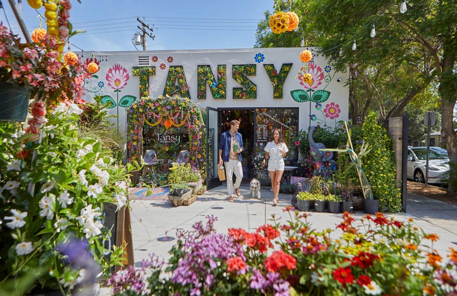 Two people walk out of Tansy