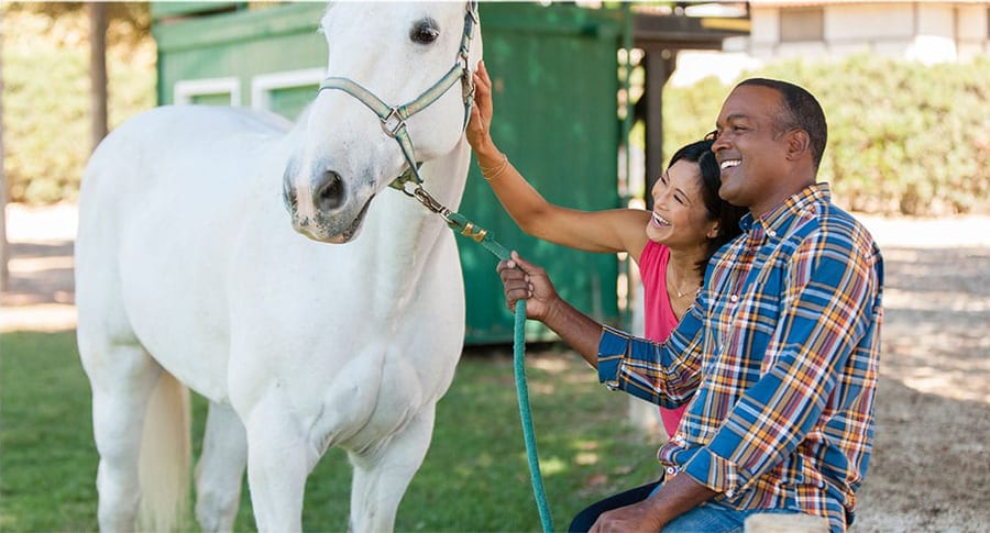 Holiday Lights Display