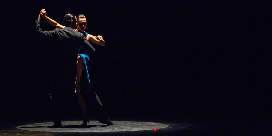 Holiday Lights Display