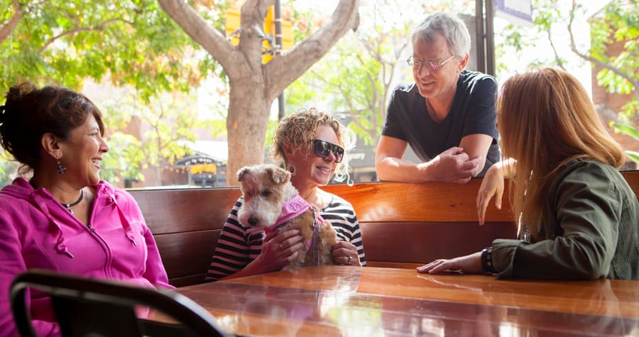 Holiday Lights Display